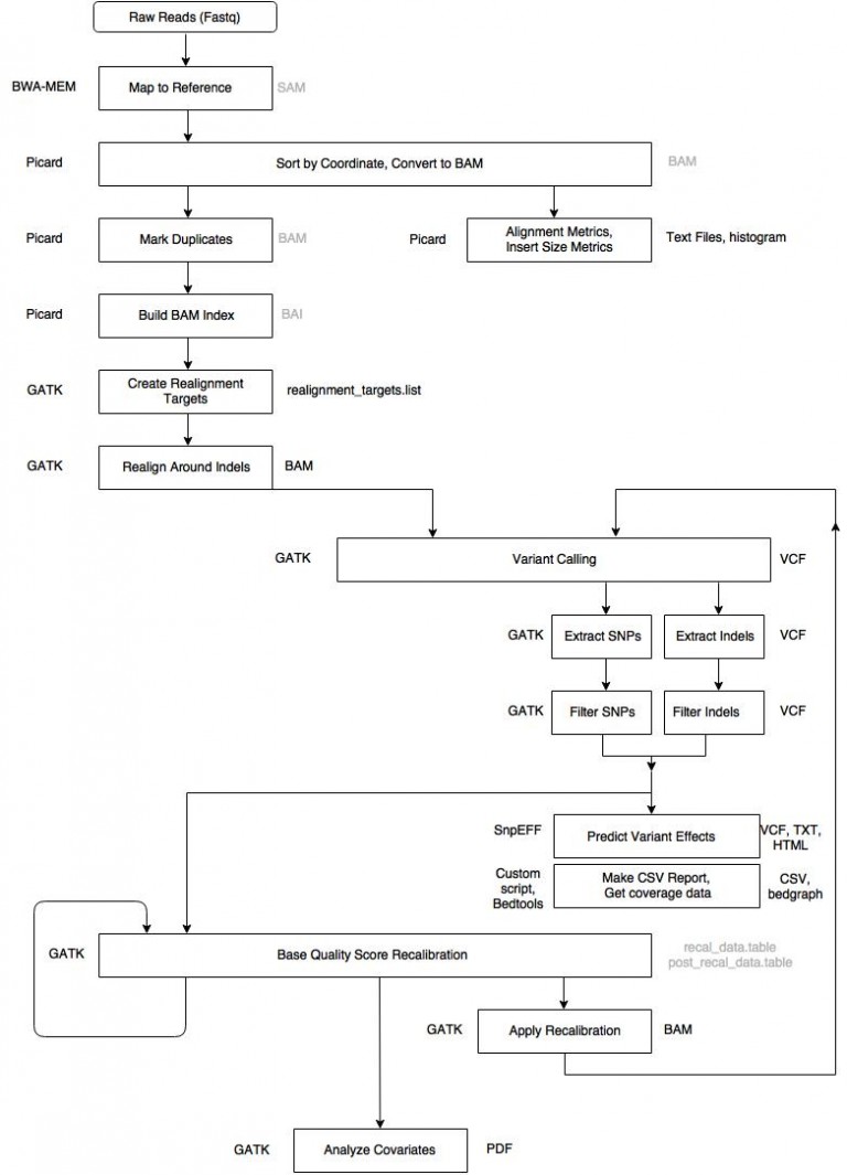 Variant Calling Pipeline FastQ To Annotated SNPs In Hours Genomics variant-calling-pipeline-fastq-to-annotated-snps-in-hours-genomics