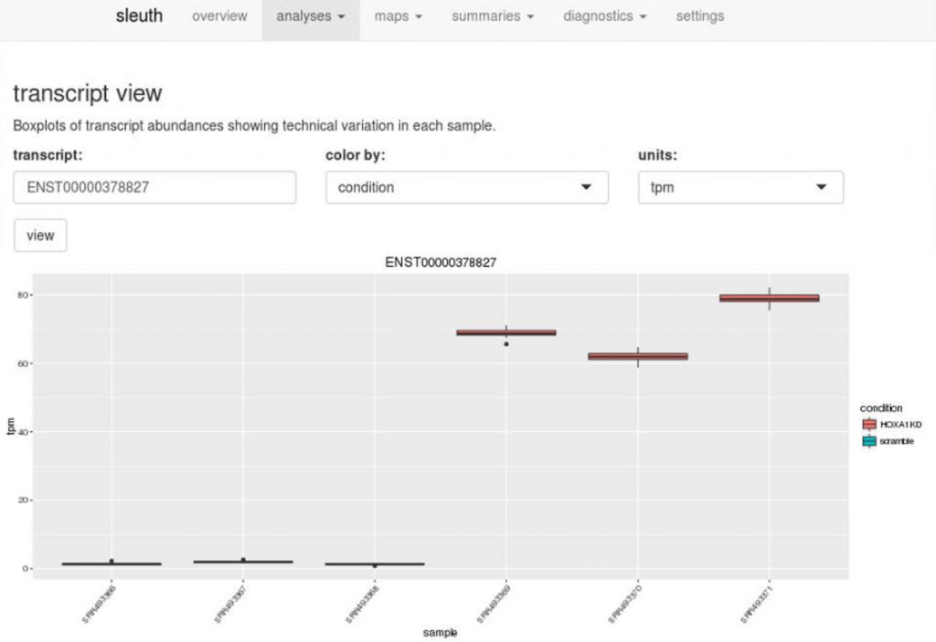 Salmon & kallisto Rapid Transcript Quantification for RNASeq Data