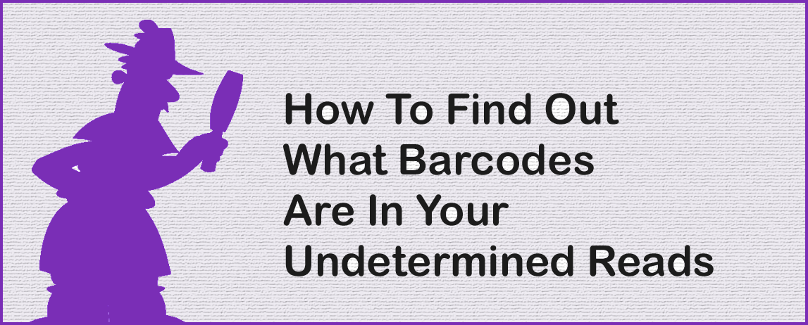 How To Find Out What Barcodes Are In Your Undetermined Reads