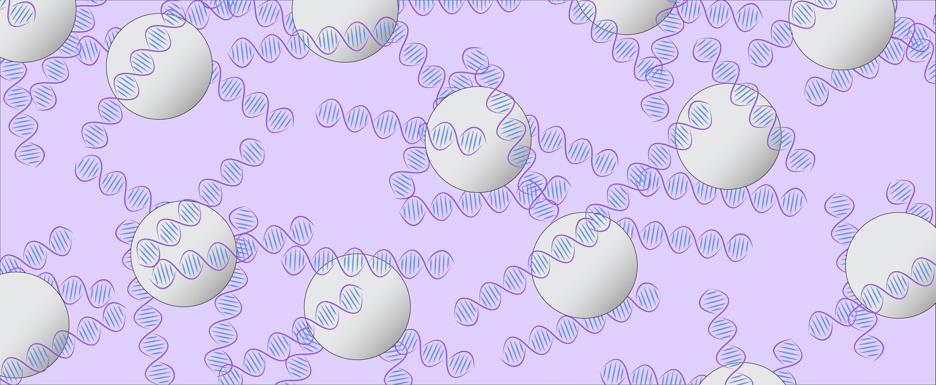 HighPrep PCR Beads as an AMPureXP Alternative